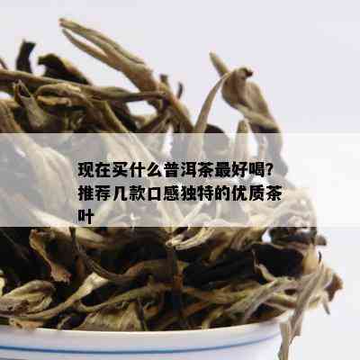 现在买什么普洱茶更好喝？推荐几款口感独特的优质茶叶