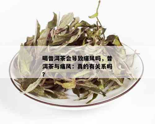 喝普洱茶会导致痛风吗，普洱茶与痛风：真的有关系吗？