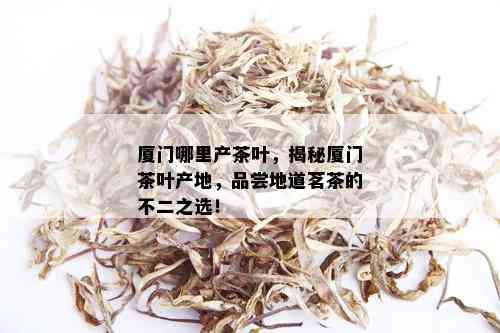 厦门哪里产茶叶，揭秘厦门茶叶产地，品尝地道茗茶的不二之选！