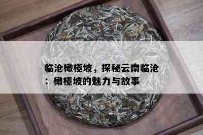 临沧橄榄坡，探秘云南临沧：橄榄坡的魅力与故事