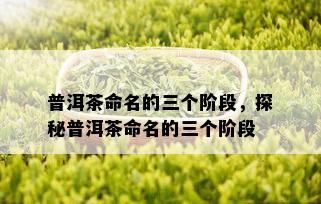 普洱茶命名的三个阶段，探秘普洱茶命名的三个阶段