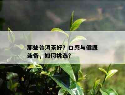 那些普洱茶好？口感与健康兼备，如何挑选？