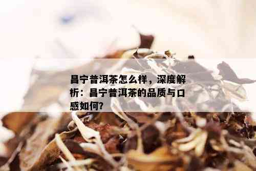 昌宁普洱茶怎么样，深度解析：昌宁普洱茶的品质与口感如何？