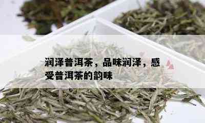 润泽普洱茶，品味润泽，感受普洱茶的韵味