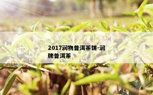 2017润物普洱茶饼-润牌普洱茶