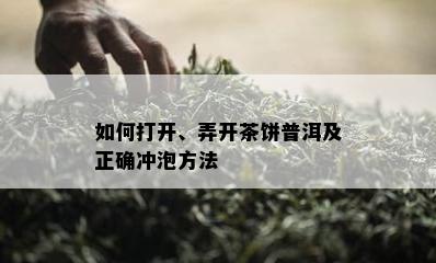 如何打开、弄开茶饼普洱及正确冲泡方法