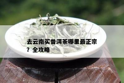 去云南买普洱茶哪里最正宗？全攻略