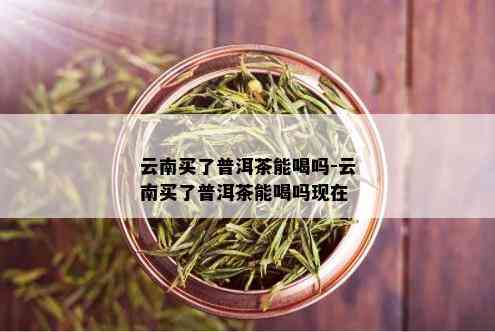 云南买了普洱茶能喝吗-云南买了普洱茶能喝吗现在