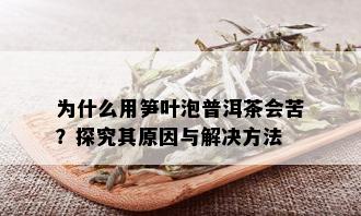 为什么用笋叶泡普洱茶会苦？探究其原因与解决方法