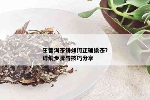 生普洱茶饼如何正确撬茶？详细步骤与技巧分享