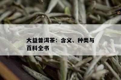 大益普洱茶：含义、种类与百科全书