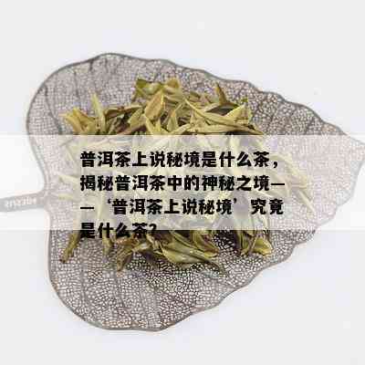 普洱茶上说秘境是什么茶，揭秘普洱茶中的神秘之境——‘普洱茶上说秘境’究竟是什么茶？