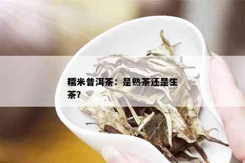 糯米普洱茶：是熟茶还是生茶？