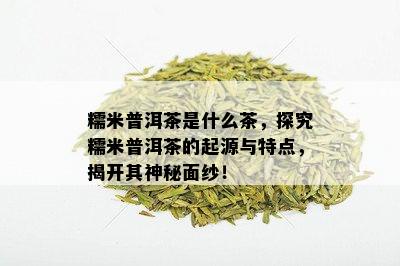 糯米普洱茶是什么茶，探究糯米普洱茶的起源与特点，揭开其神秘面纱！