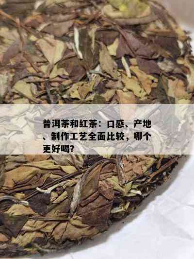 普洱茶和红茶：口感、产地、制作工艺全面比较，哪个更好喝？