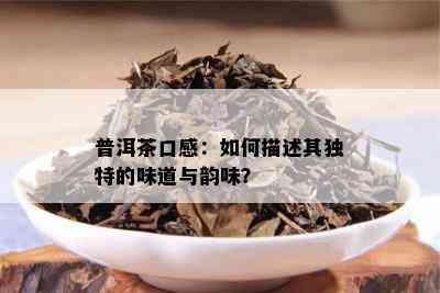 普洱茶口感：如何描述其独特的味道与韵味？