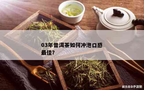 03年普洱茶如何冲泡口感更佳？