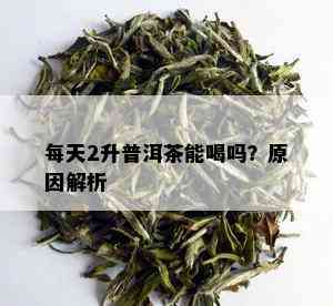 每天2升普洱茶能喝吗？原因解析