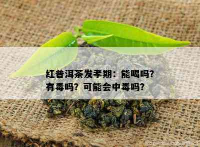 红普洱茶发孝期：能喝吗？有吗？可能会中吗？