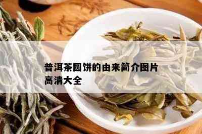 普洱茶圆饼的由来简介图片高清大全