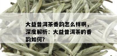 大益普洱茶香韵怎么样啊，深度解析：大益普洱茶的香韵如何？