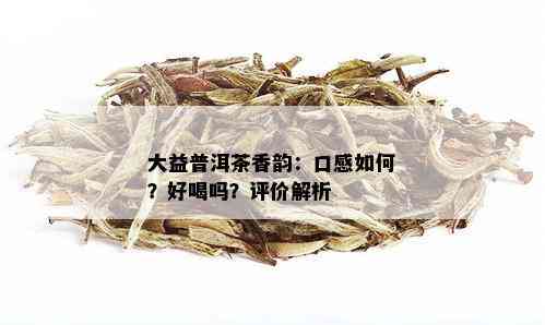 大益普洱茶香韵：口感如何？好喝吗？评价解析