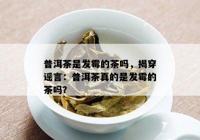 普洱茶是发霉的茶吗，揭穿谣言：普洱茶真的是发霉的茶吗？