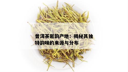 普洱茶岩韵产地：揭秘其独特韵味的来源与分布