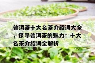 普洱茶十大名茶介绍词大全，探寻普洱茶的魅力：十大名茶介绍词全解析