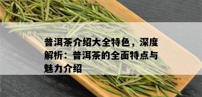 普洱茶介绍大全特色，深度解析：普洱茶的全面特点与魅力介绍