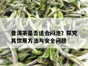 普洱茶是否适合闷泡？探究其饮用方法与安全问题