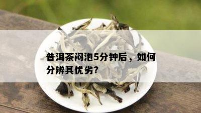 普洱茶闷泡5分钟后，如何分辨其优劣?