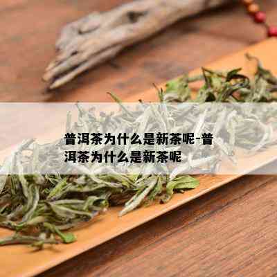 普洱茶为什么是新茶呢-普洱茶为什么是新茶呢