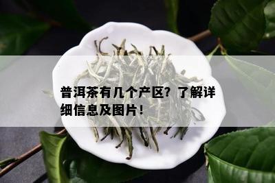 普洱茶有几个产区？了解详细信息及图片！