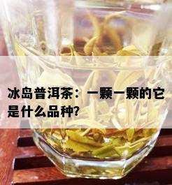 冰岛普洱茶：一颗一颗的它是什么品种？