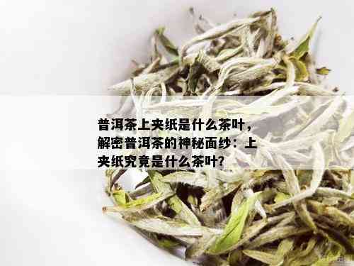 普洱茶上夹纸是什么茶叶，解密普洱茶的神秘面纱：上夹纸究竟是什么茶叶？