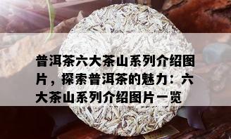 普洱茶六大茶山系列介绍图片，探索普洱茶的魅力：六大茶山系列介绍图片一览