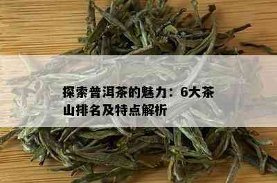 探索普洱茶的魅力：6大茶山排名及特点解析