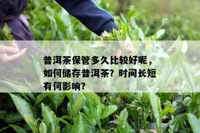 普洱茶保管多久比较好呢，如何储存普洱茶？时间长短有何影响？