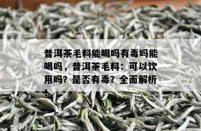 普洱茶毛料能喝吗有吗能喝吗，普洱茶毛料：可以饮用吗？是否有？全面解析！