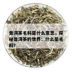 普洱茶毛料是什么意思，探秘普洱茶的世界：什么是毛料？