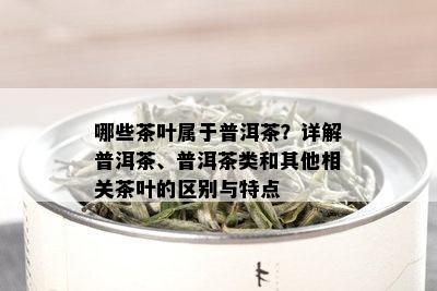 哪些茶叶属于普洱茶？详解普洱茶、普洱茶类和其他相关茶叶的区别与特点