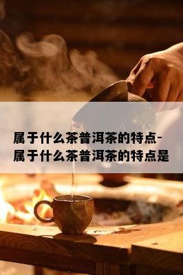 属于什么茶普洱茶的特点-属于什么茶普洱茶的特点是