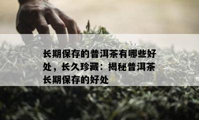 长期保存的普洱茶有哪些好处，长久珍藏：揭秘普洱茶长期保存的好处