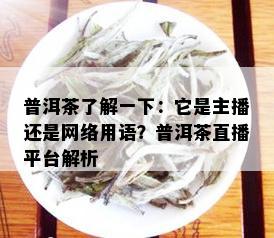 普洱茶了解一下：它是主播还是网络用语？普洱茶直播平台解析