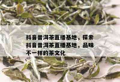 抖音普洱茶直播基地，探索抖音普洱茶直播基地，品味不一样的茶文化