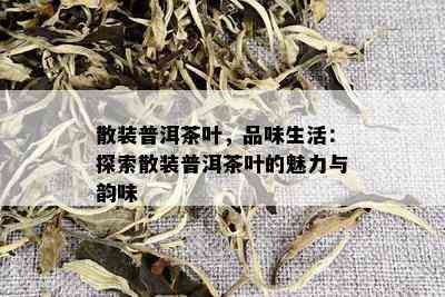 散装普洱茶叶，品味生活：探索散装普洱茶叶的魅力与韵味