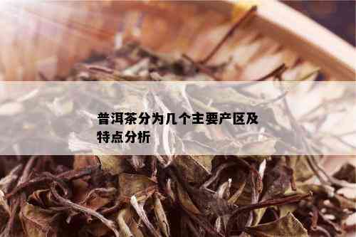 普洱茶分为几个主要产区及特点分析