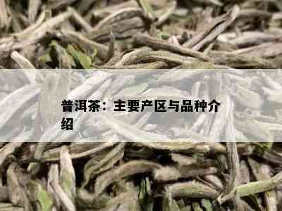 普洱茶：主要产区与品种介绍