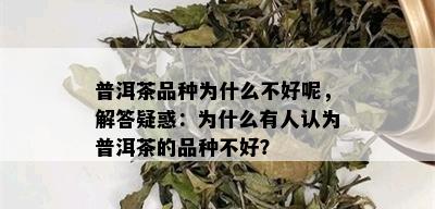 普洱茶品种为什么不好呢，解答疑惑：为什么有人认为普洱茶的品种不好？